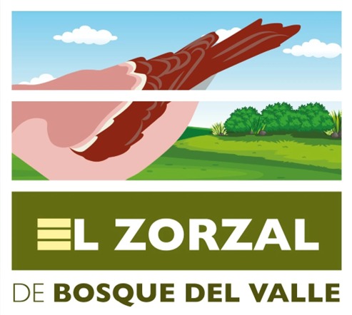 El Zorzal